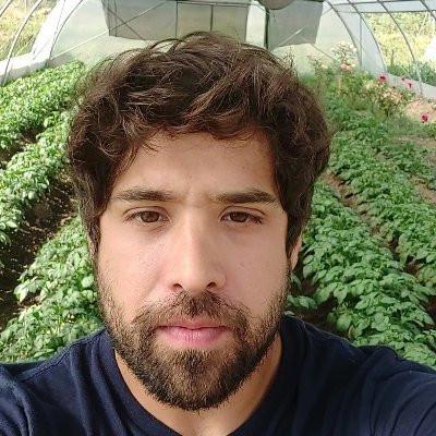 Avatar Daniel Norero